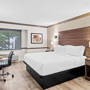 Habitación con Cama King Adaptada para Discapacitados